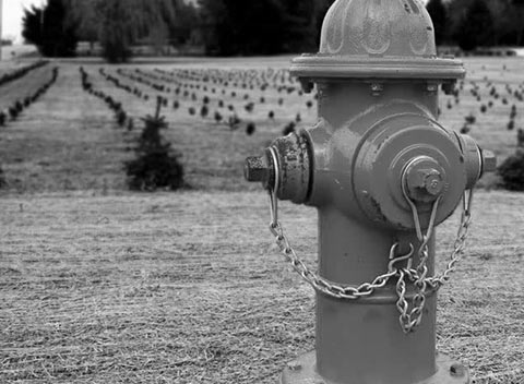 打爆别人电话的软件